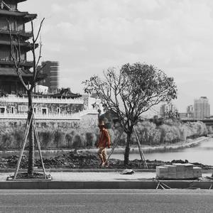 最新国产成熟骚妇在线
