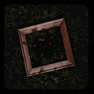 最新国产成熟骚妇在线
